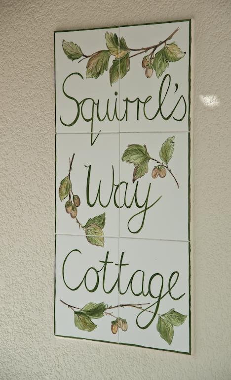Squirrels Way Cottages Kaapstad Buitenkant foto